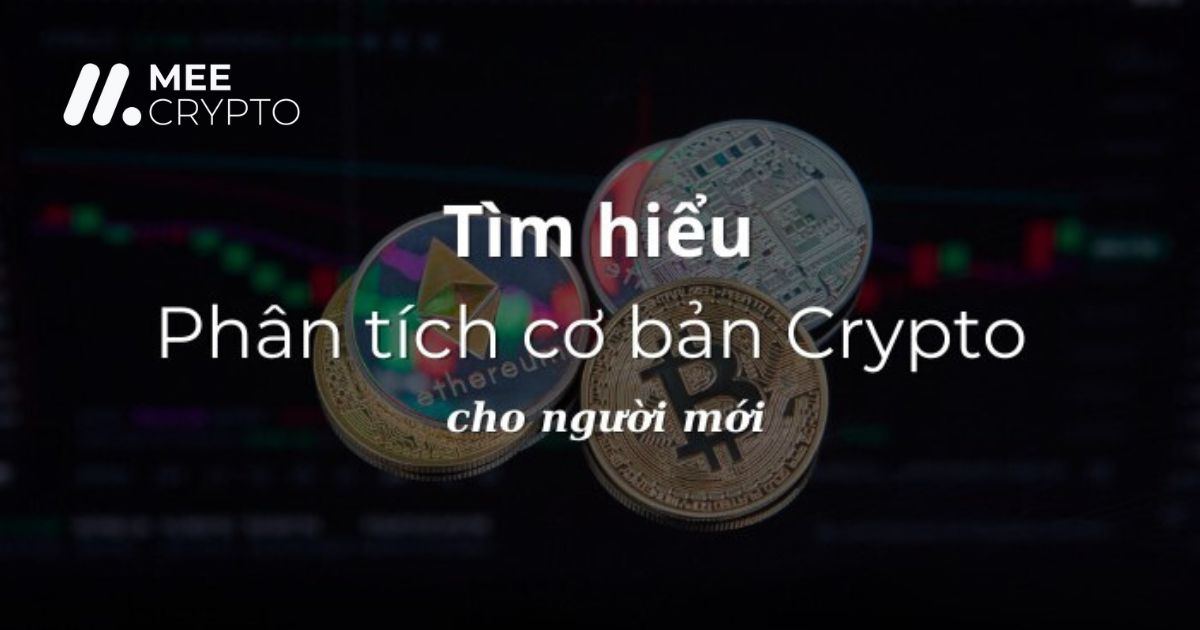 Tìm hiểu phân tích cơ bản khi đầu tư Crypto cho người mới